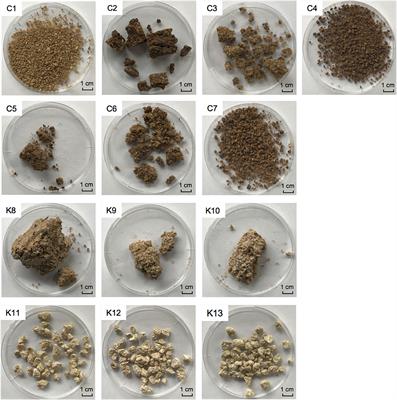 Microbial Community Structure and Chemical Constituents in Shinkiku, a Fermented Crude Drug Used in Kampo Medicine